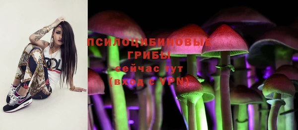мяу мяу мука Верхнеуральск