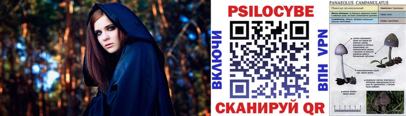 omg Лысково Галлюциногенные грибы прущие грибы